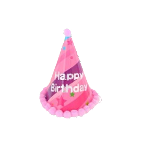 Party Hat